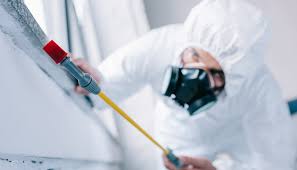 Best Residential Pest Control  in Pine Island Center, FL